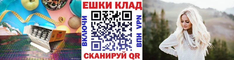 Ecstasy Philipp Plein Купить закладки Курчалой