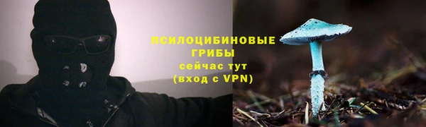 mdpv Нея