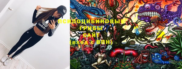 mdpv Нея