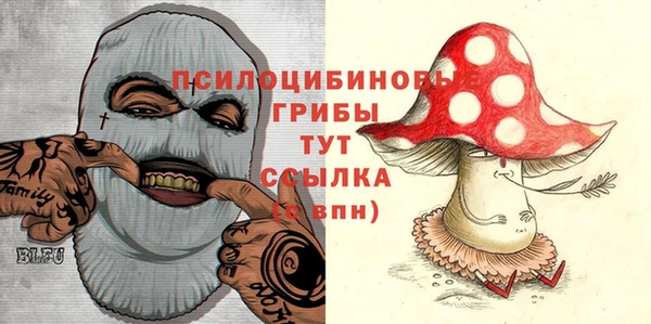mdpv Нея